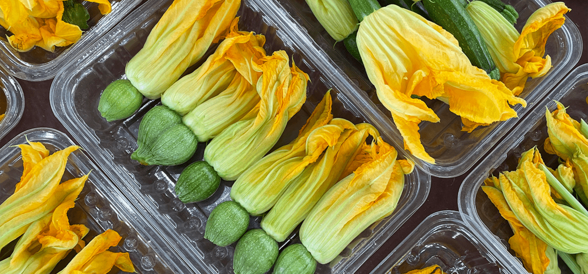 Stuffed zucchini flower fritters