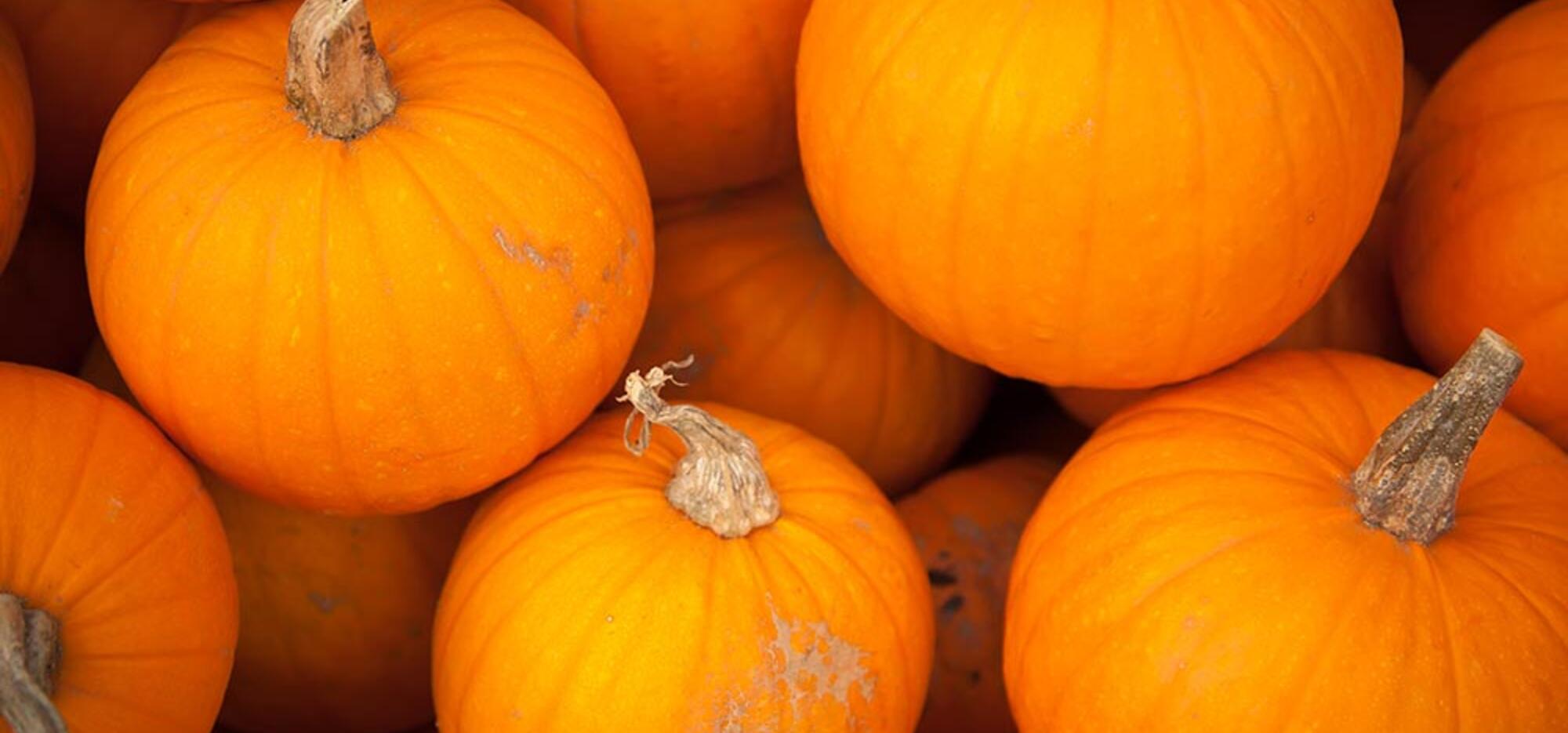 Pumpkin Soup