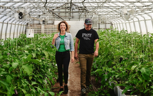Pure Horticulture