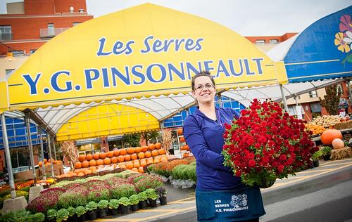 Les serres Y. G. Pinsonneault