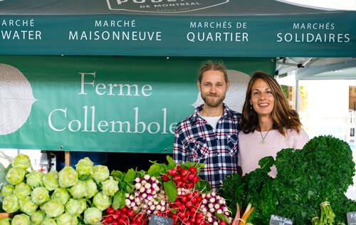Ferme Collembole