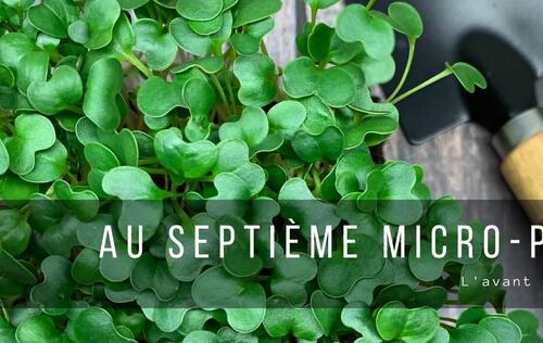 Au Septième Micro-pousse