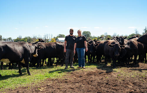 Boucheries & Ferme Saint-Vincent - viande biologique