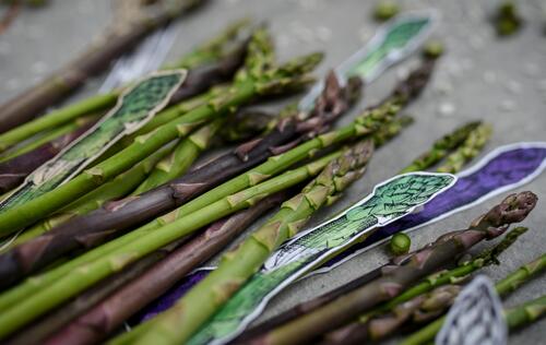 Pâtes fraîches & rubans d'asperges