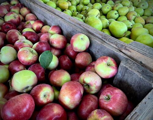 pommes