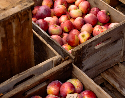 pommes