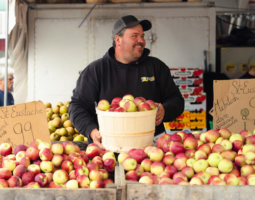 lauzon pommes