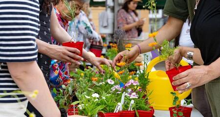 Fleurs comestibles