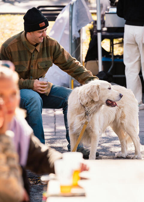 Chien marché public de Montréal