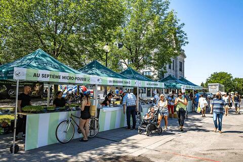 Marché d'été Maisonneuve 2022