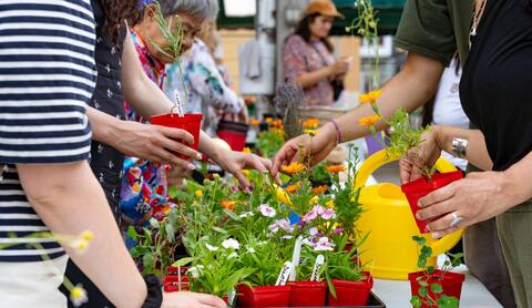 Atelier jardinage