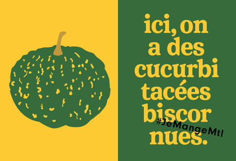 affiche courge