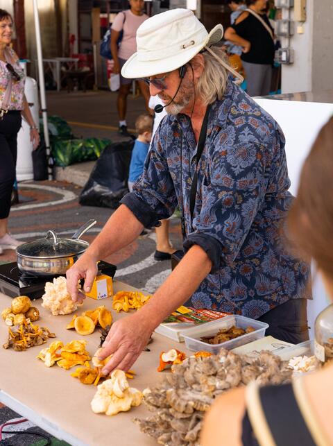 champignons sauvages