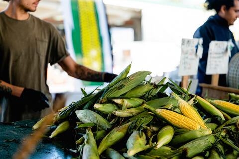 Maïs au Marché Jean-Talon