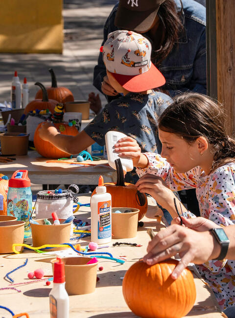 Atelier de décoration de citrouilles Marchés publics