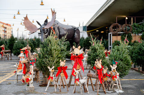 Sapins au Marché Atwater