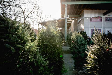 les fêtes au Marché Maisonneuve