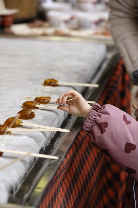 Dégustation tire d'érable
