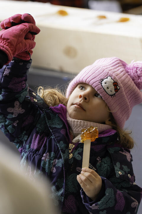 Dégustation tire d'érable