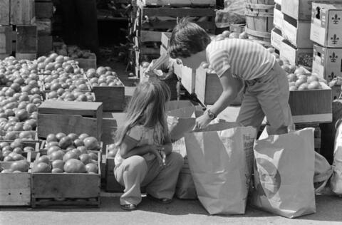 Marché Atwater 1978 - BAnQ - E6,S7,SS1,D780814-780815