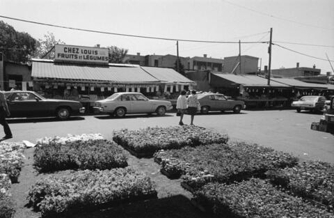 Marché Jean-Talon 1977- BAnQ - E6,S7,SS1,D771739-771740