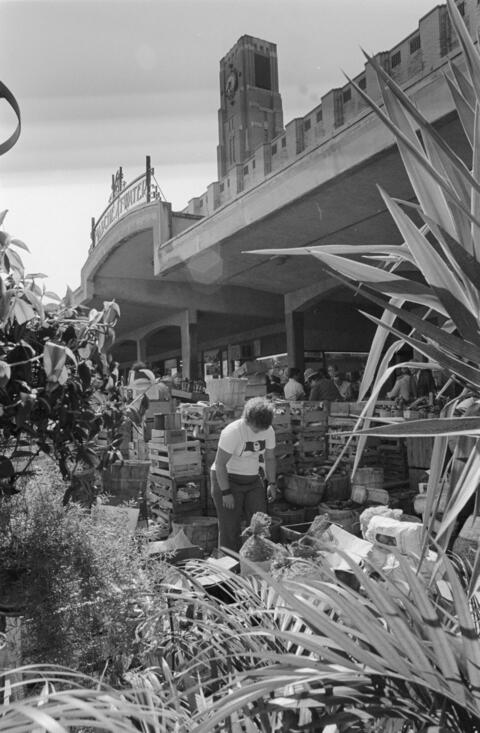 Marché Atwater 1978 - BAnQ - E6,S7,SS1,D780814-780815