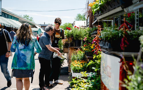 Marché Jean-Talon