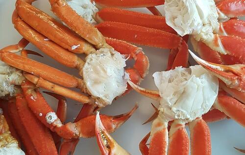 crabe des neiges