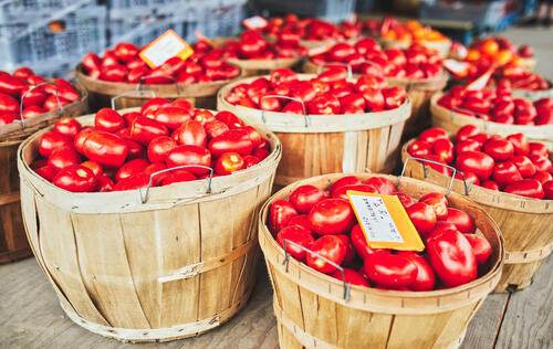 panier de tomates au Marché Jean-Talon