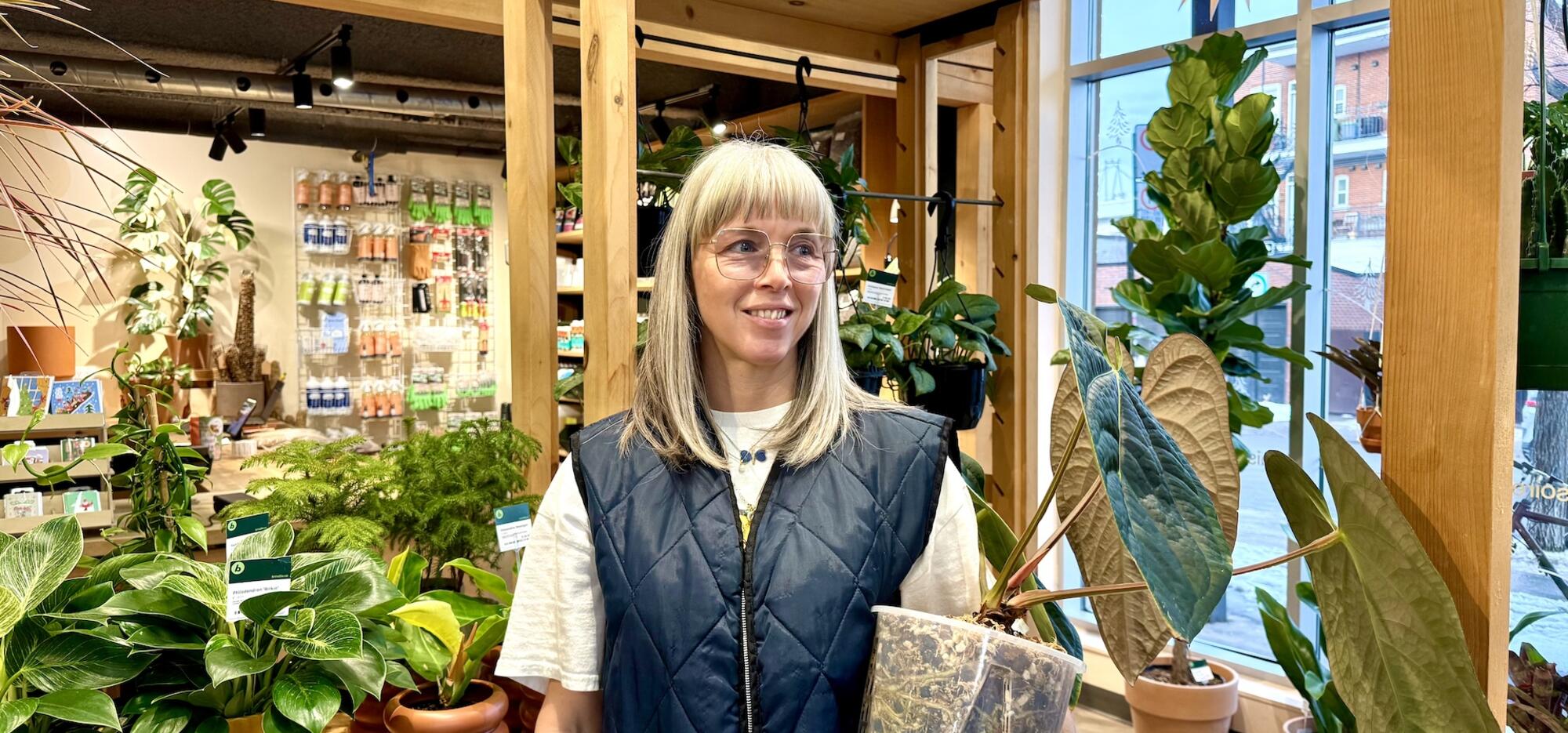 Brindille, quincaillerie végétale