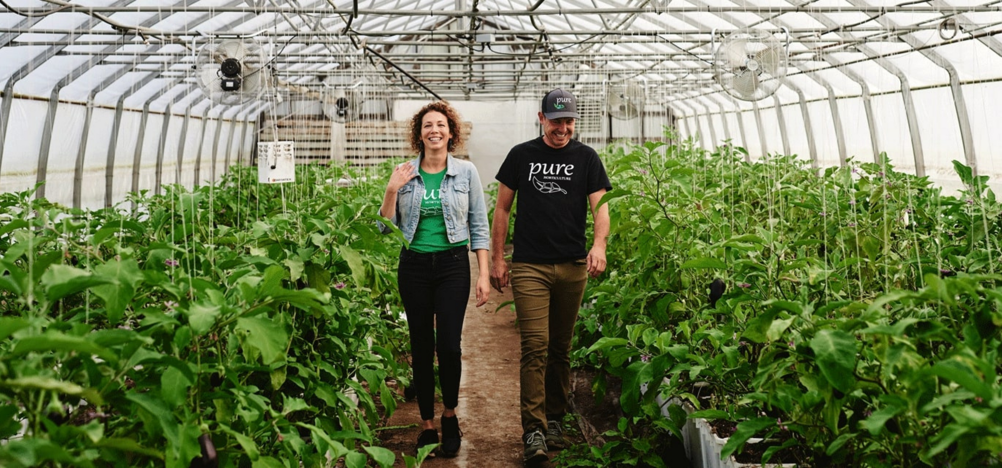 Pure Horticulture