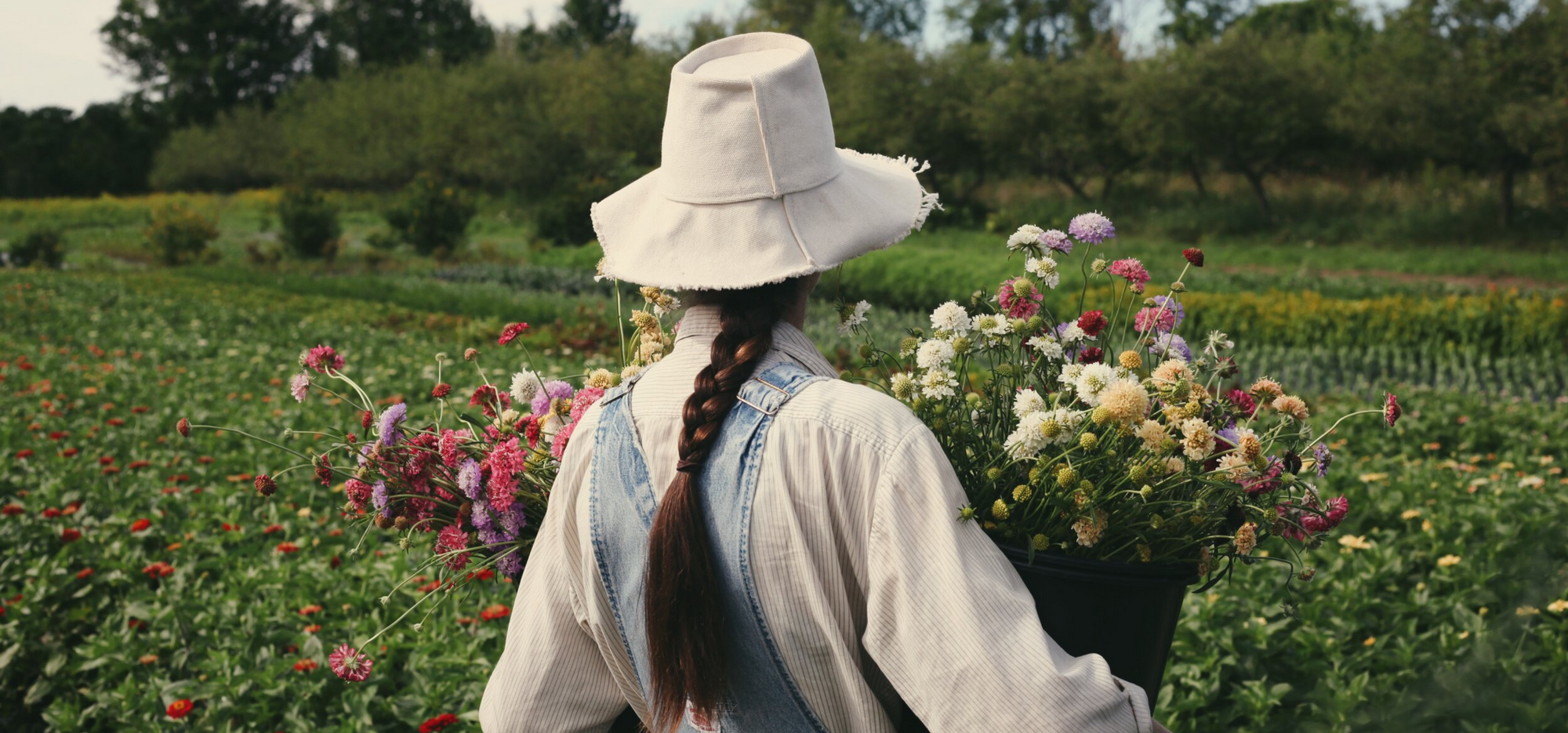 Homefield Ferme Florale