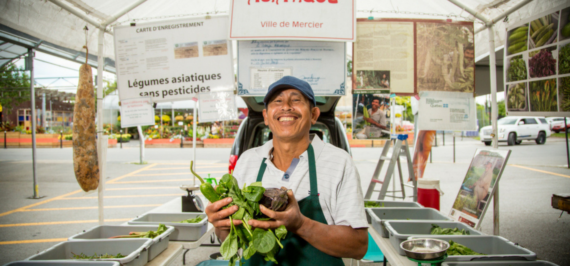 Potager asiatique