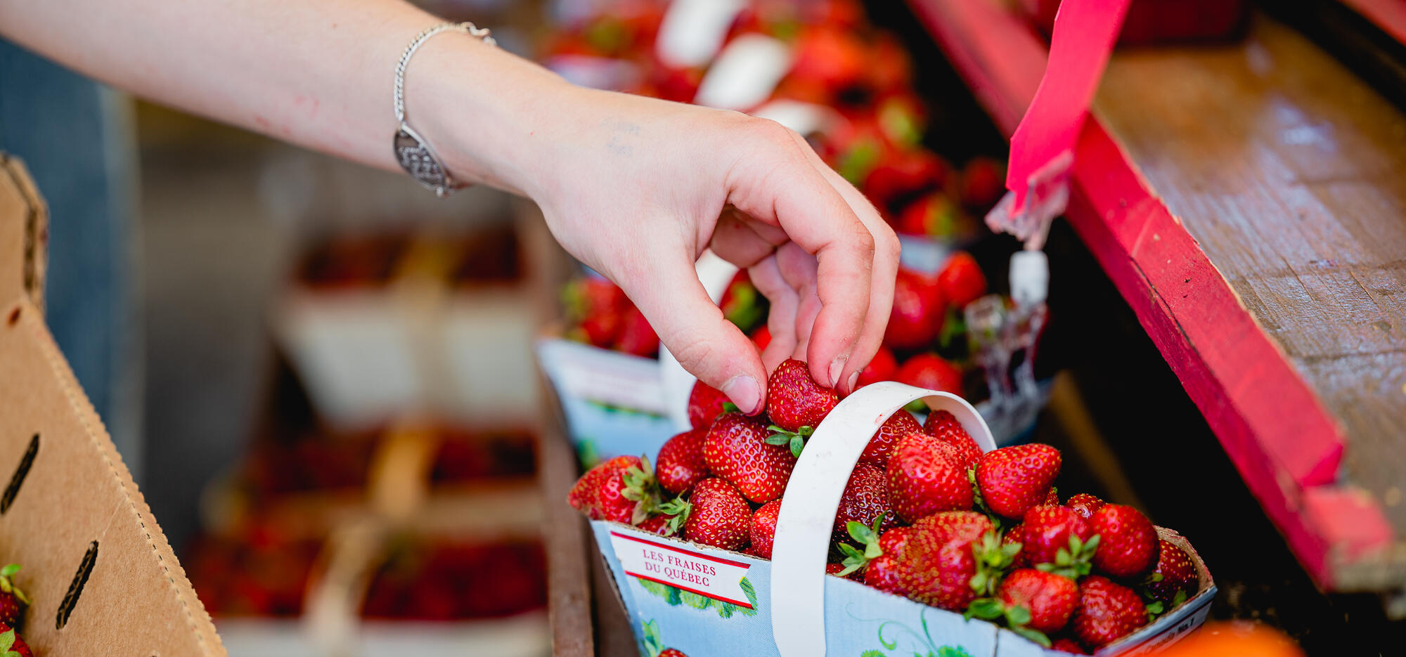 fraises au marché atwater