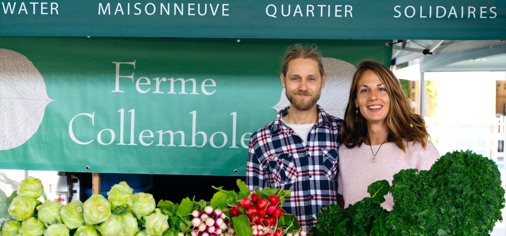 Ferme Collembole