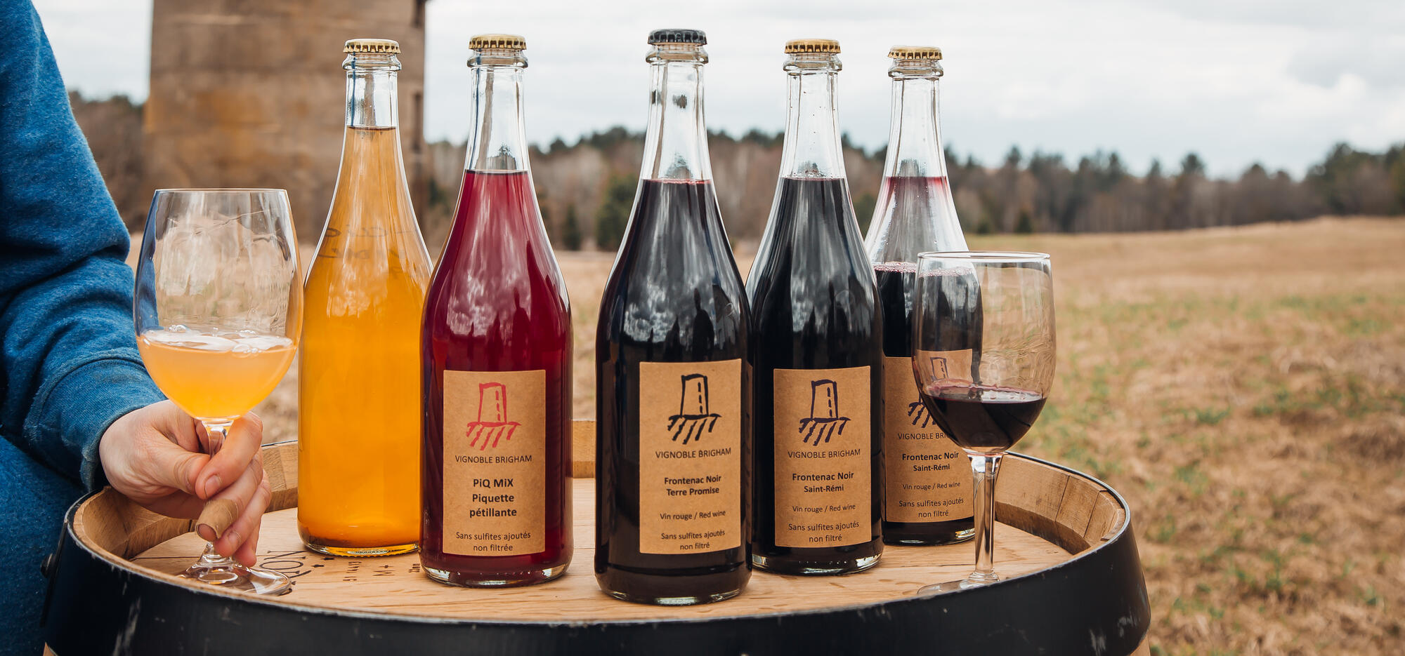 Vignoble Brigham