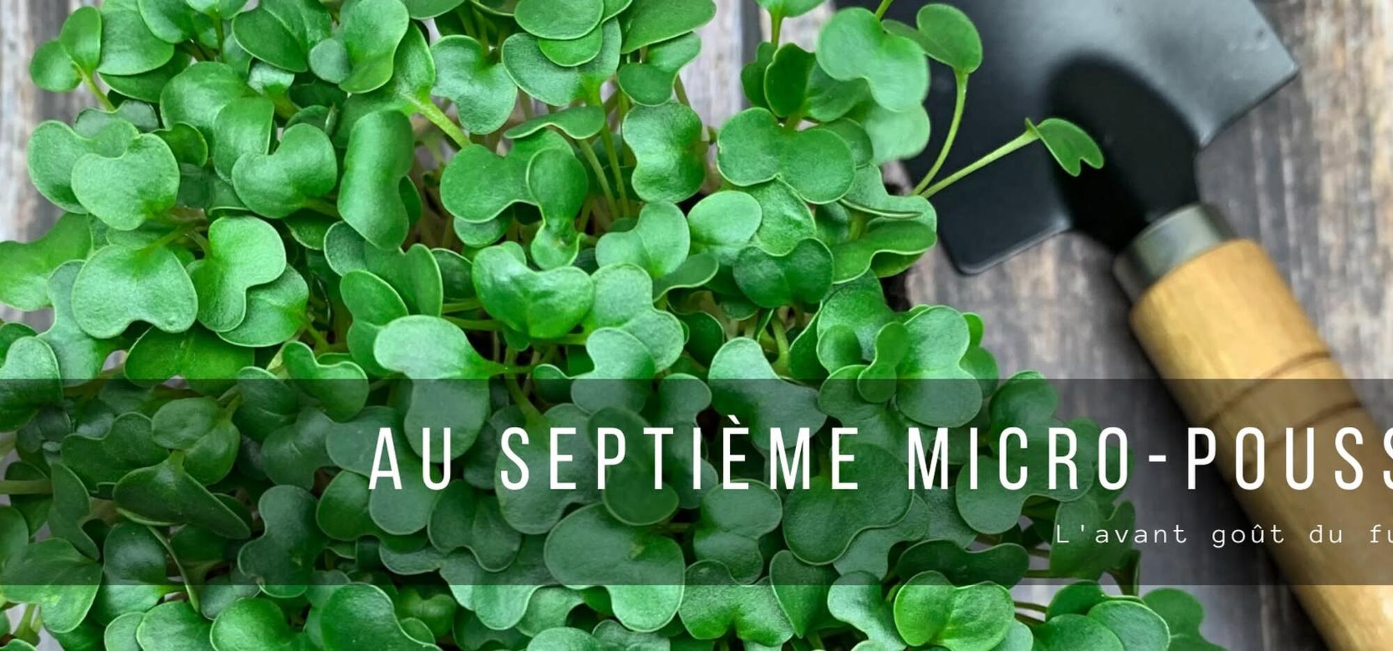 Au Septième Micro-pousse