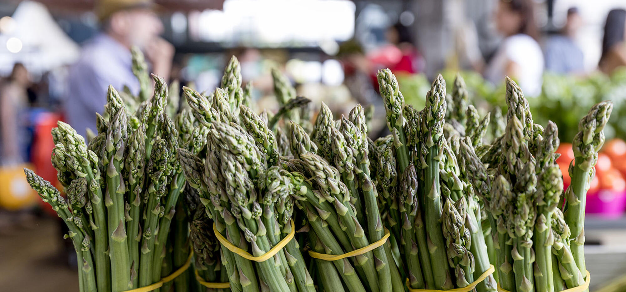 asperge