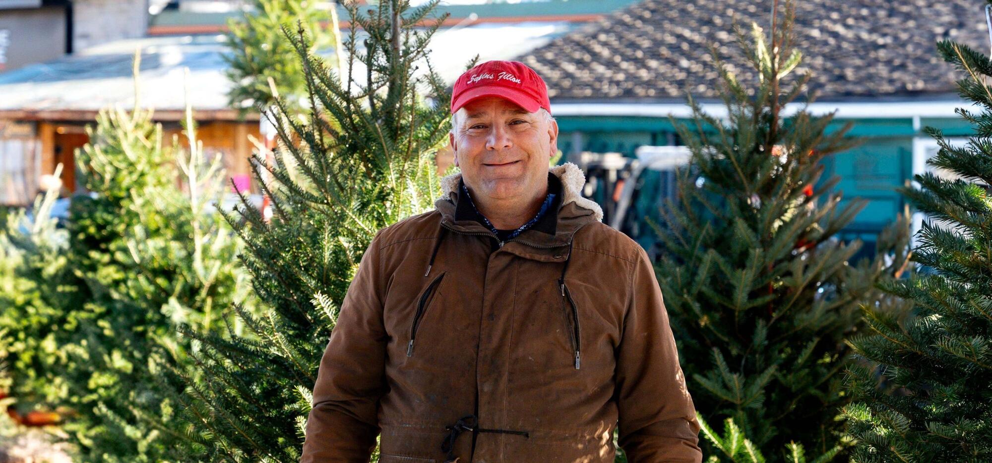 Sapins Filion