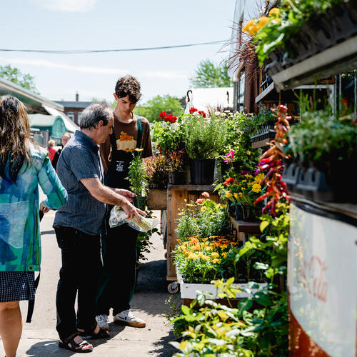 Marché Jean-Talon