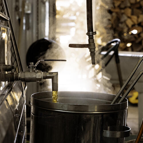 Les dessous d'une érablière