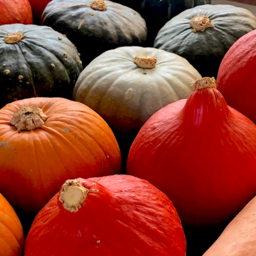 Fall into the squash!
