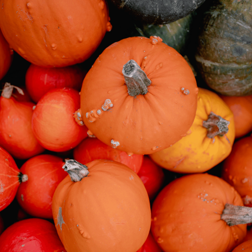 Courges et citrouilles en vrac