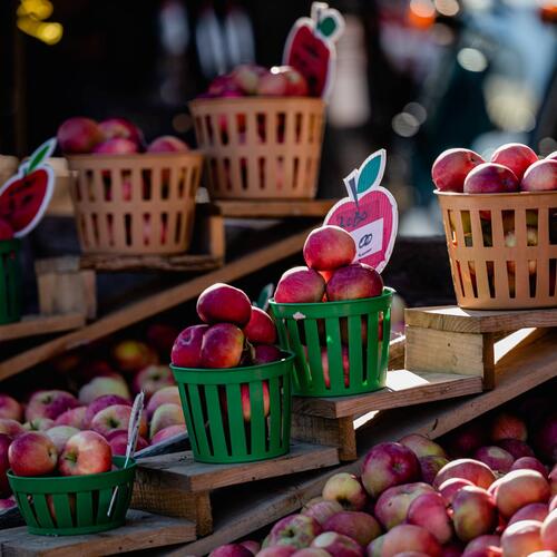 pommes au Marché Jean-Talon