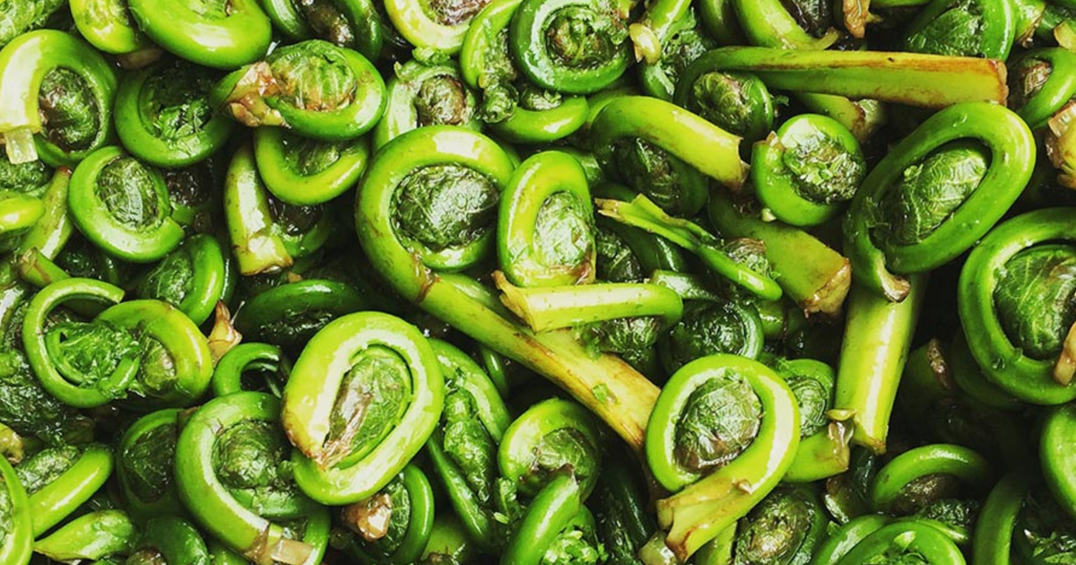 Fiddleheads with garlic | Marchés publics de Montréal
