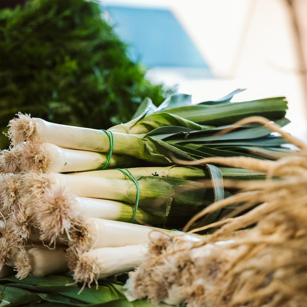 Poireaux au Marché Jean-Talon