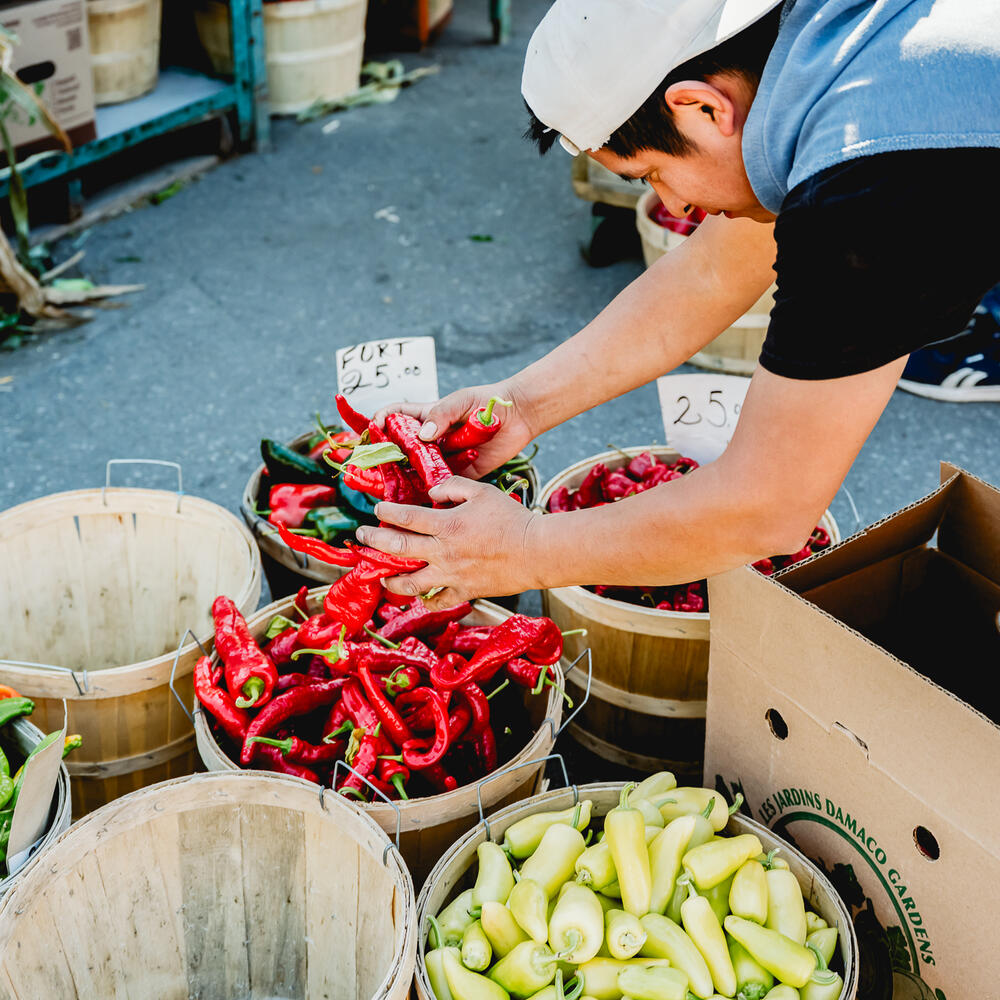 marche jean-talon