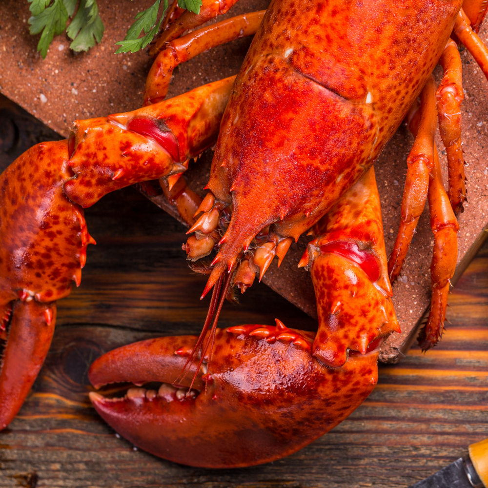 Homard poché au beurre