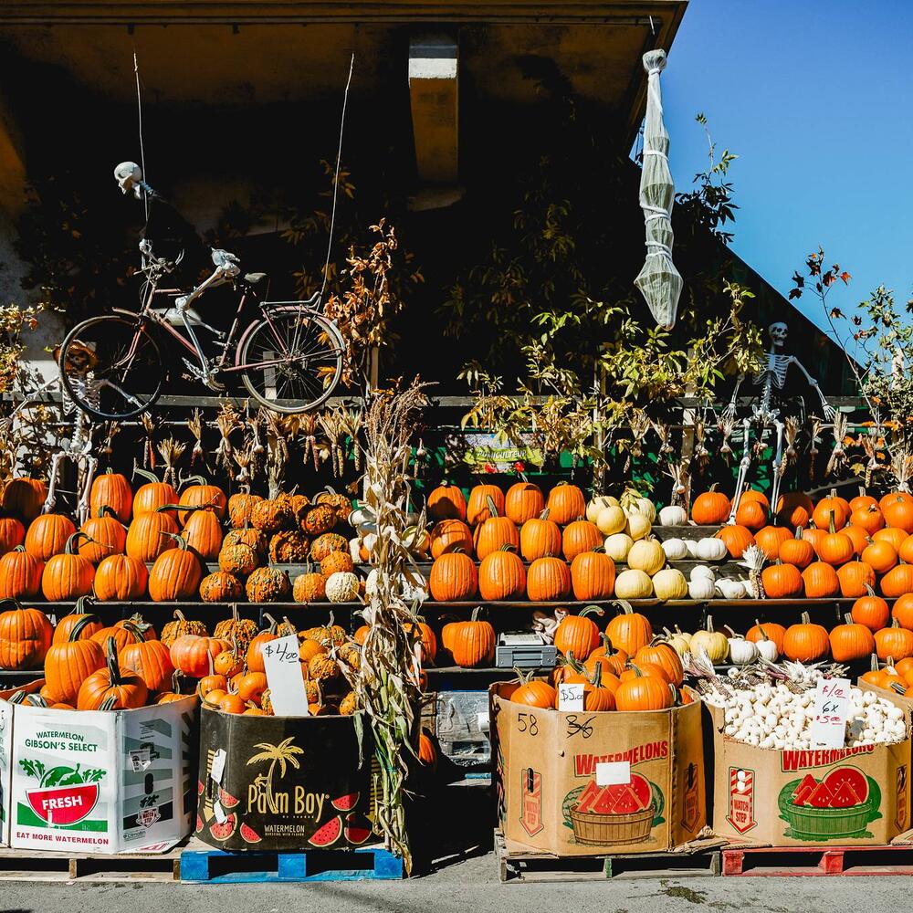 halloween au Marché Jean-Talon
