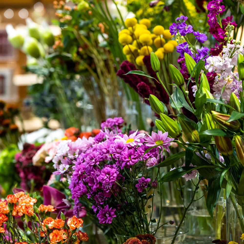 fleur marche